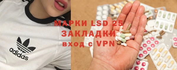 ГАЛЛЮЦИНОГЕННЫЕ ГРИБЫ Алексеевка