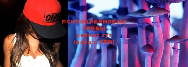 Альфа ПВП Абаза
