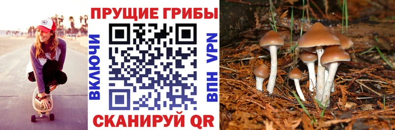 Псилоцибиновые грибы Magic Shrooms  Прокопьевск 